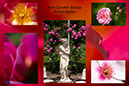 %_tempFileNameGER%20-%20Rose%20garden%20Beutig%20in%20Baden-Baden%